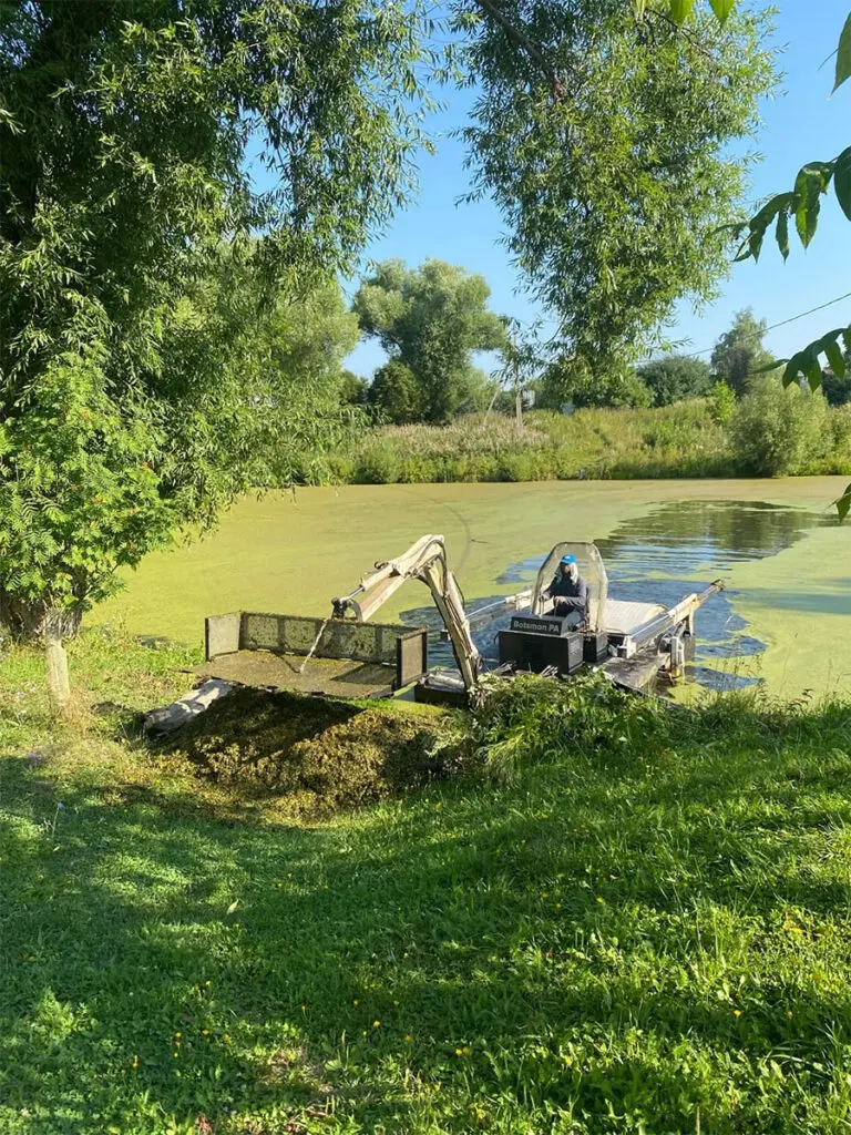 Очистка заросшего пруда от водной растительности